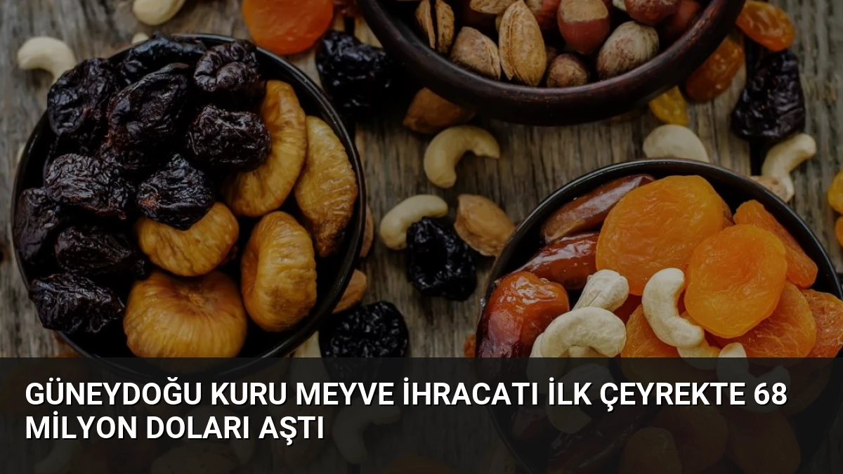 Güneydoğu Kuru Meyve İhracatı İlk Çeyrekte 68 Milyon Doları Aştı