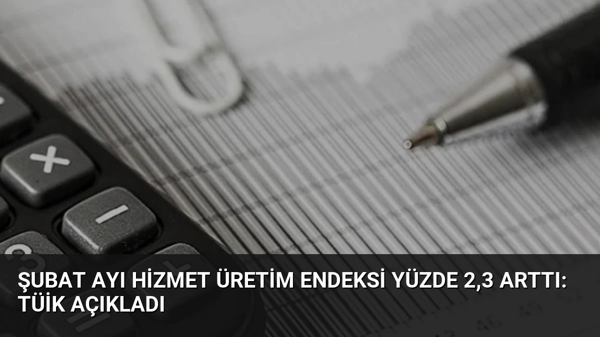 Şubat Ayı Hizmet Üretim Endeksi Yüzde 2,3 Arttı: TÜİK Açıkladı