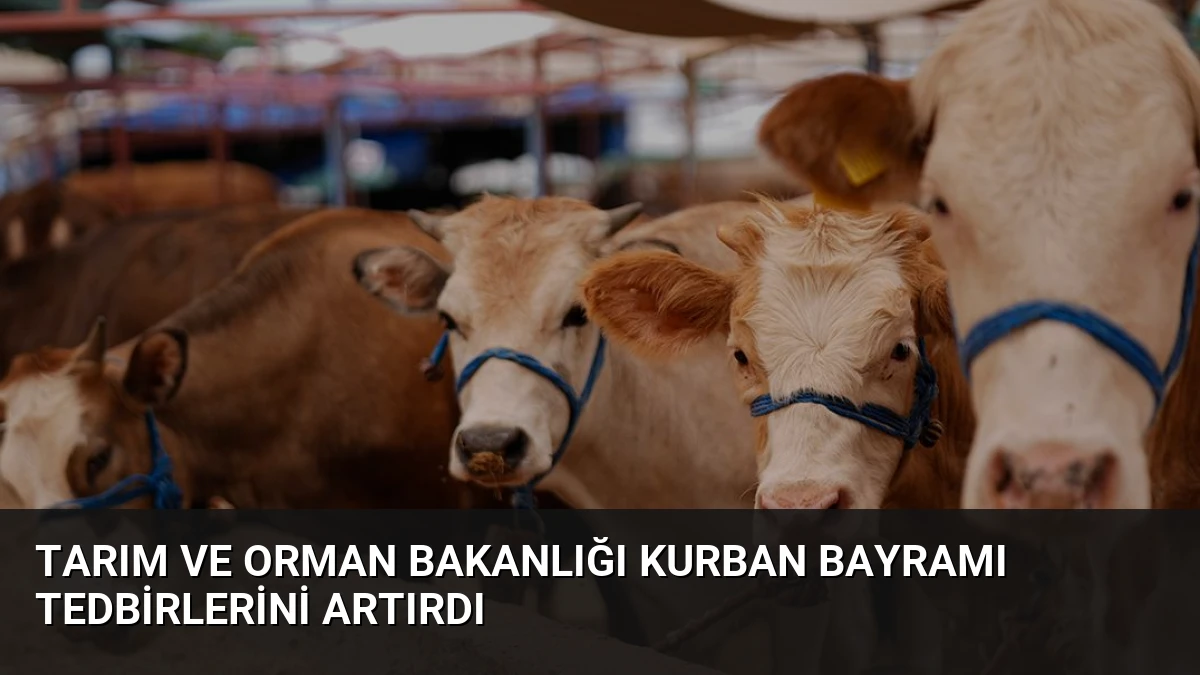 Tarım ve Orman Bakanlığı Kurban Bayramı Tedbirlerini Artırdı