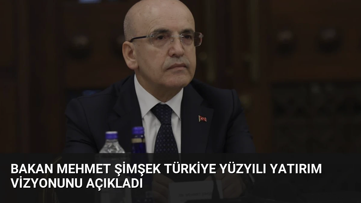 Bakan Mehmet Şimşek Türkiye Yüzyılı Yatırım Vizyonunu Açıkladı