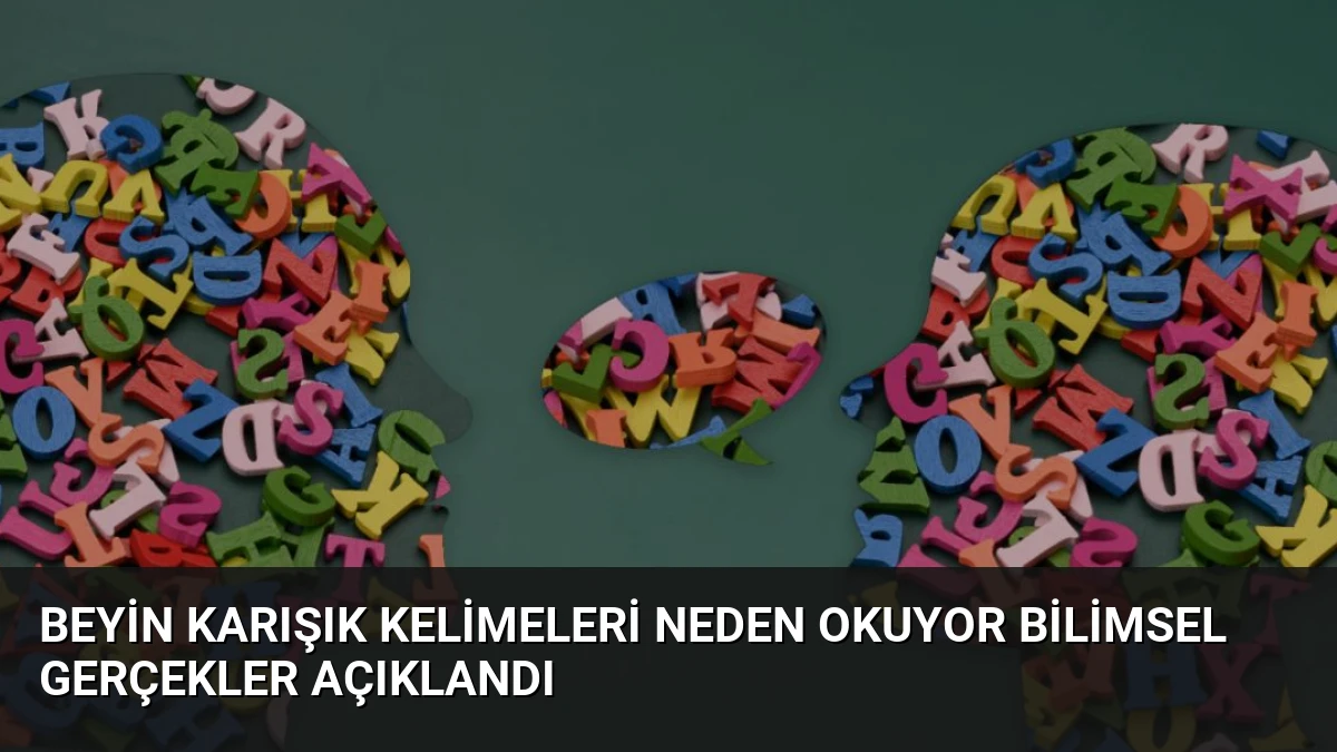 Beyin Karışık Kelimeleri Neden Okuyor Bilimsel Gerçekler Açıklandı