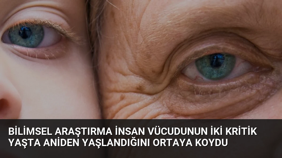 Bilimsel Araştırma İnsan Vücudunun İki Kritik Yaşta Aniden Yaşlandığını Ortaya Koydu