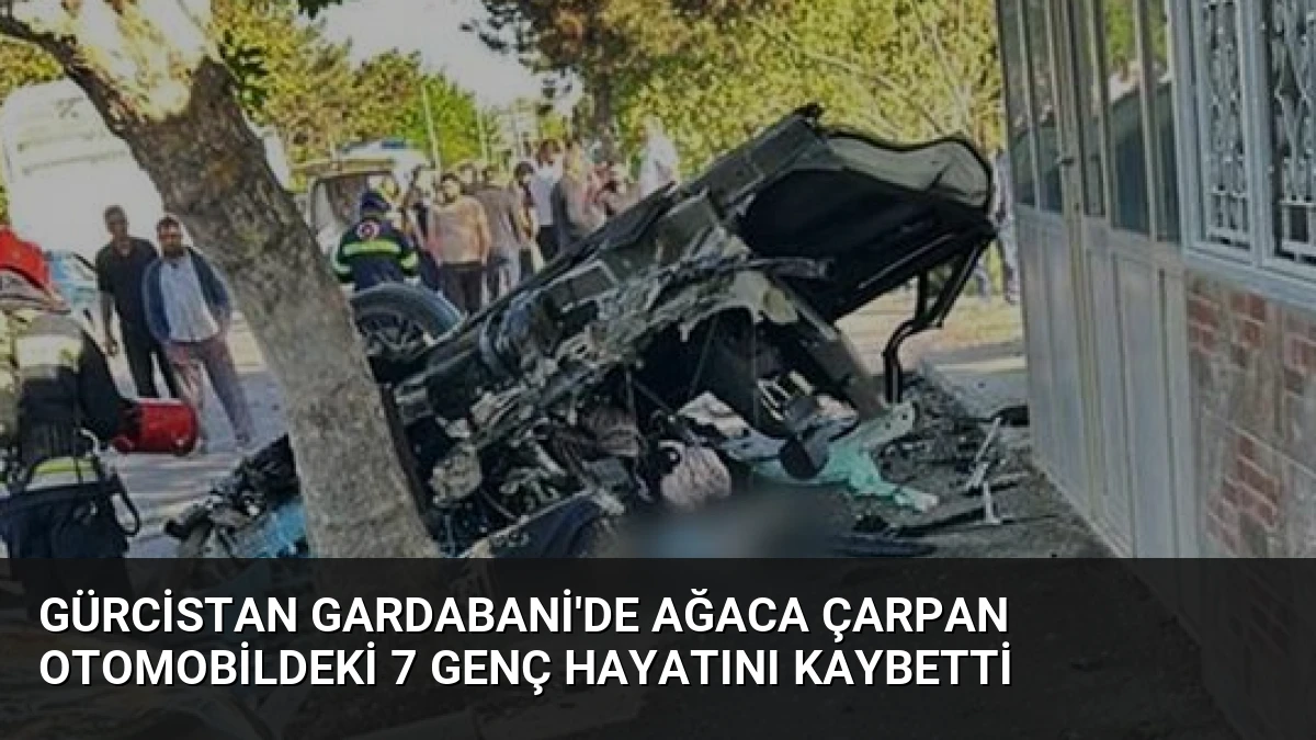 Gürcistan Gardabani’de Ağaca Çarpan Otomobildeki 7 Genç Hayatını Kaybetti