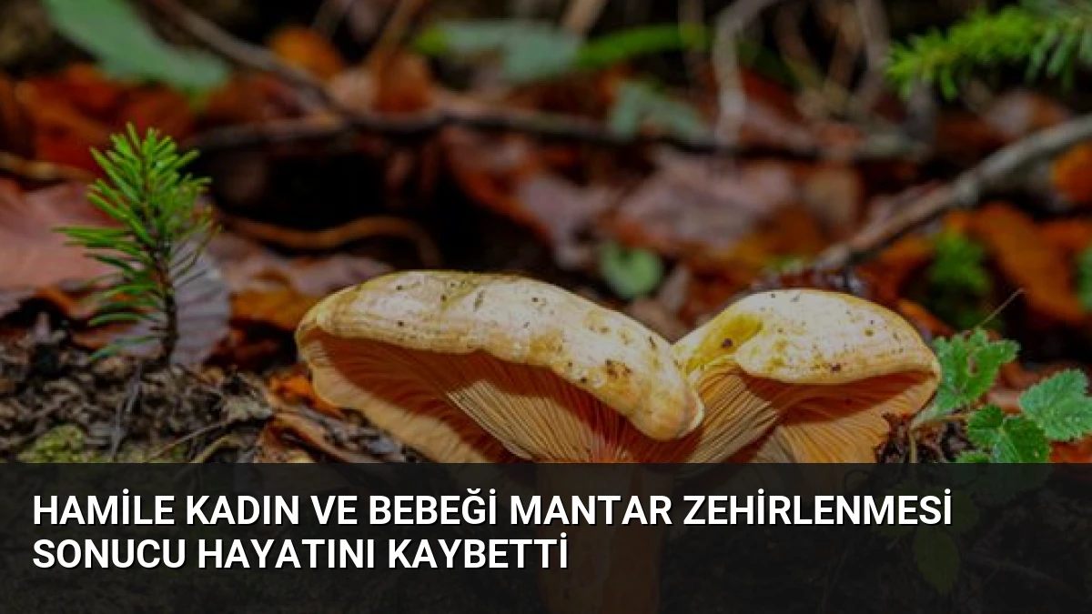 Hamile Kadın ve Bebeği Mantar Zehirlenmesi Sonucu Hayatını Kaybetti
