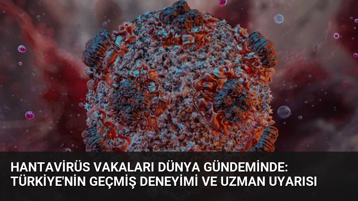 Hantavirüs Vakaları Dünya Gündeminde: Türkiye’nin Geçmiş Deneyimi ve Uzman Uyarısı