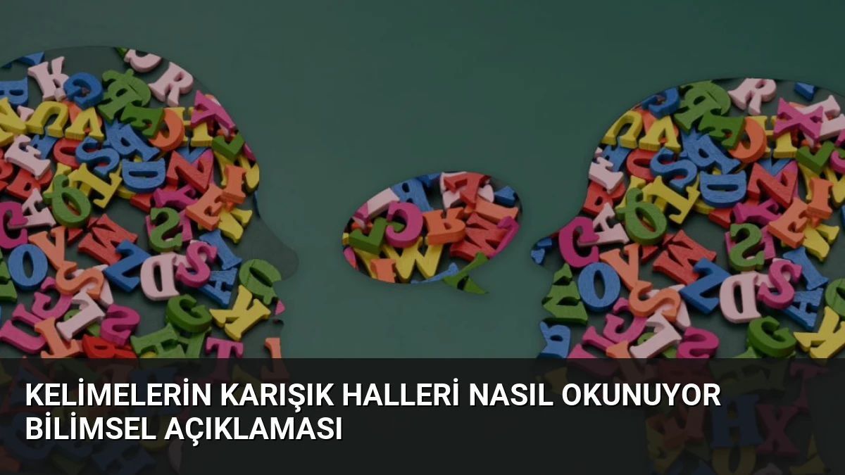 Kelimelerin Karışık Halleri Nasıl Okunuyor Bilimsel Açıklaması