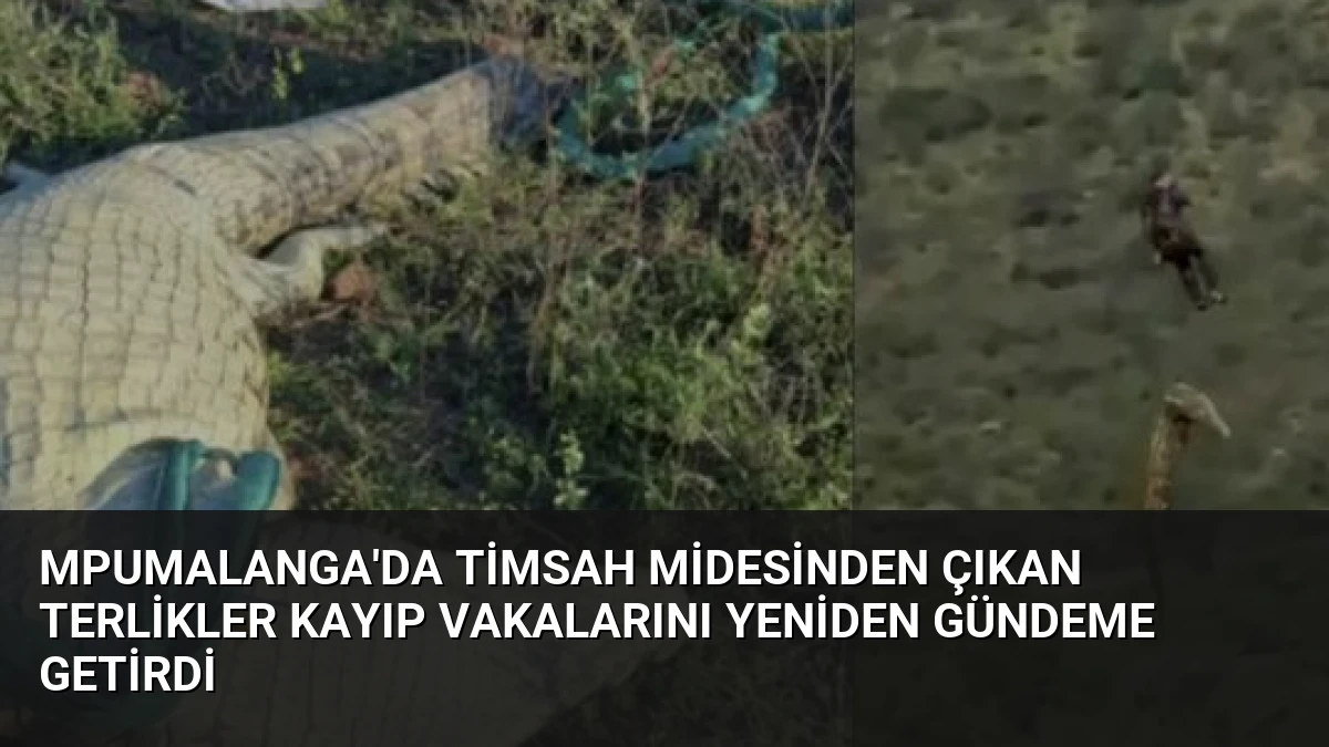 Mpumalanga’da Timsah Midesinden Çıkan Terlikler Kayıp Vakalarını Yeniden Gündeme Getirdi
