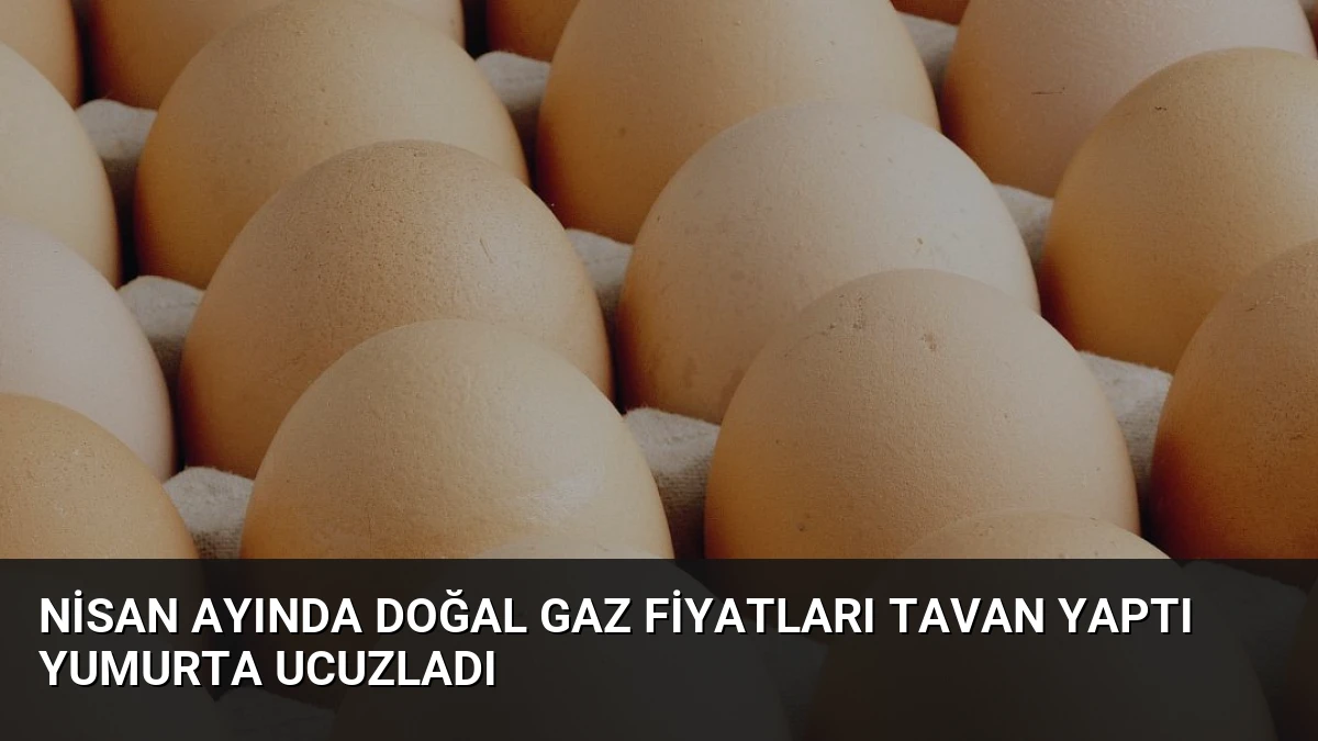 Nisan Ayında Doğal Gaz Fiyatları Tavan Yaptı Yumurta Ucuzladı