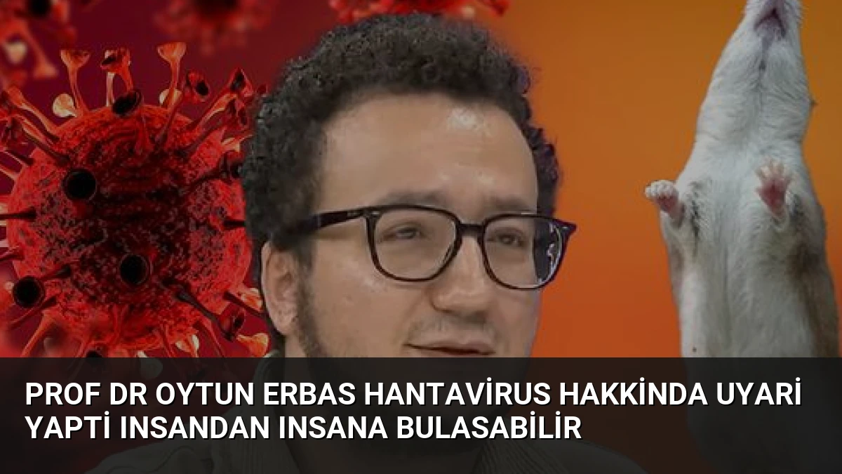 Prof Dr Oytun Erbas Hantavirus Hakkinda Uyari Yapti Insandan Insana Bulasabilir