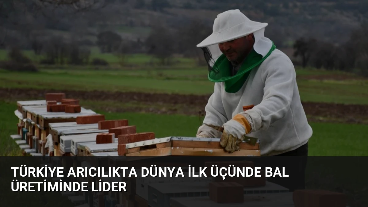 Türkiye Arıcılıkta Dünya İlk Üçünde Bal Üretiminde Lider
