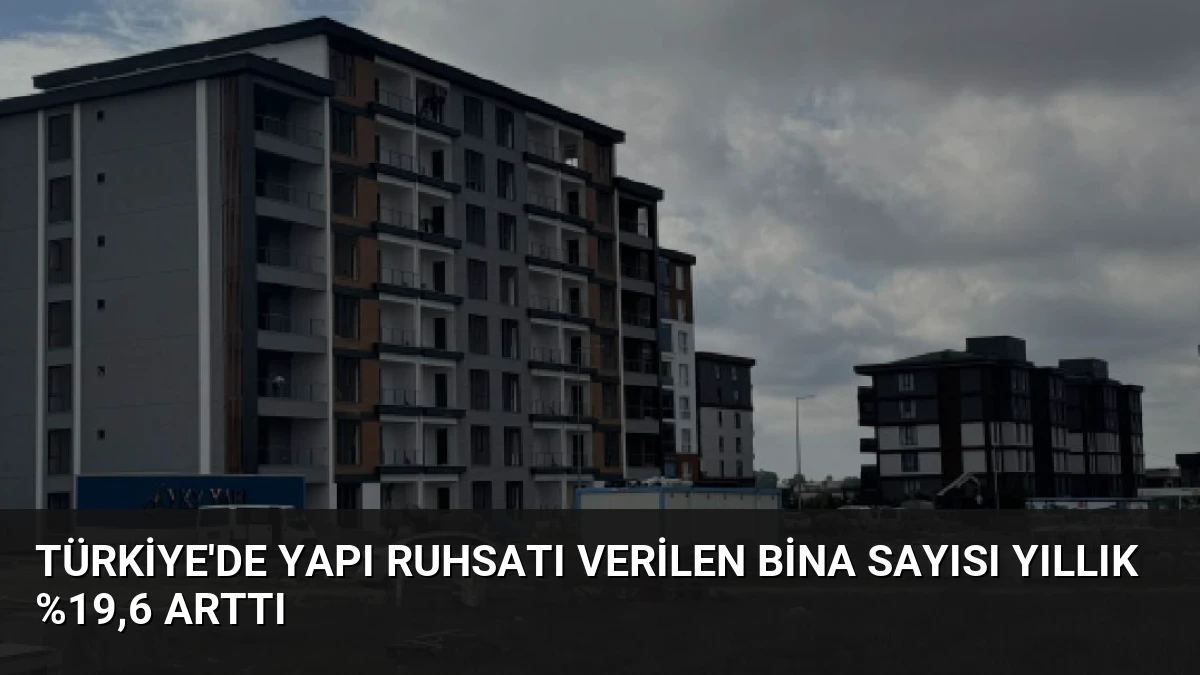 Türkiye’de Yapı Ruhsatı Verilen Bina Sayısı Yıllık %19,6 Arttı
