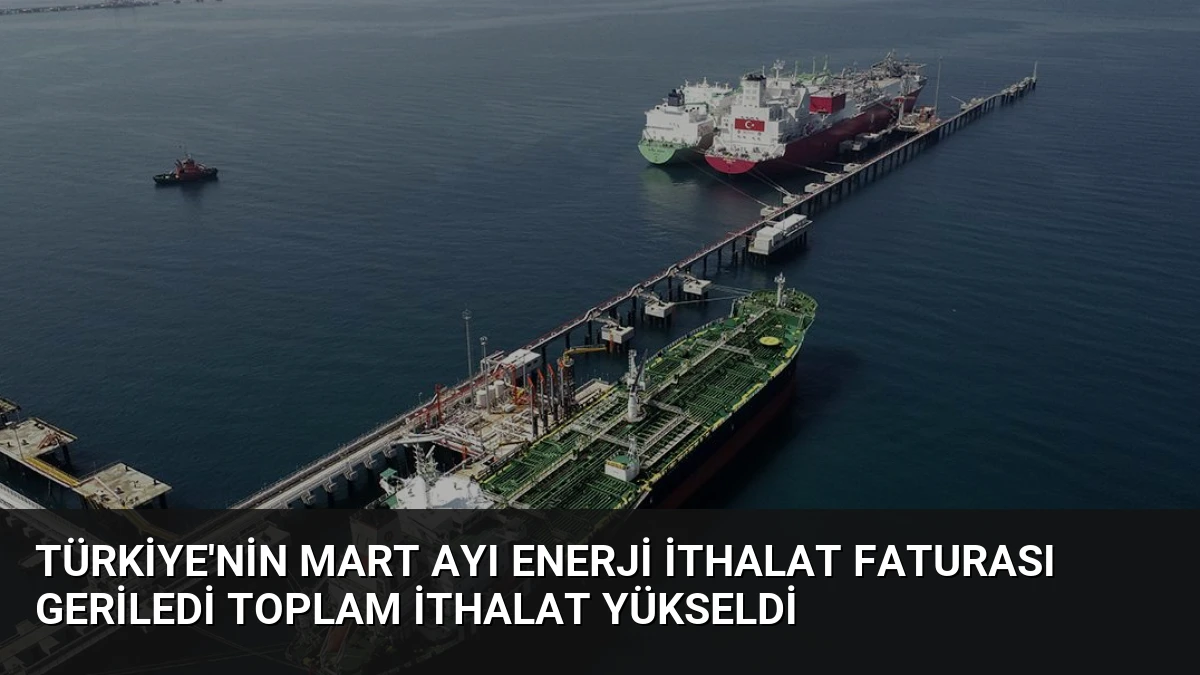 Türkiye’nin Mart Ayı Enerji İthalat Faturası Geriledi Toplam İthalat Yükseldi