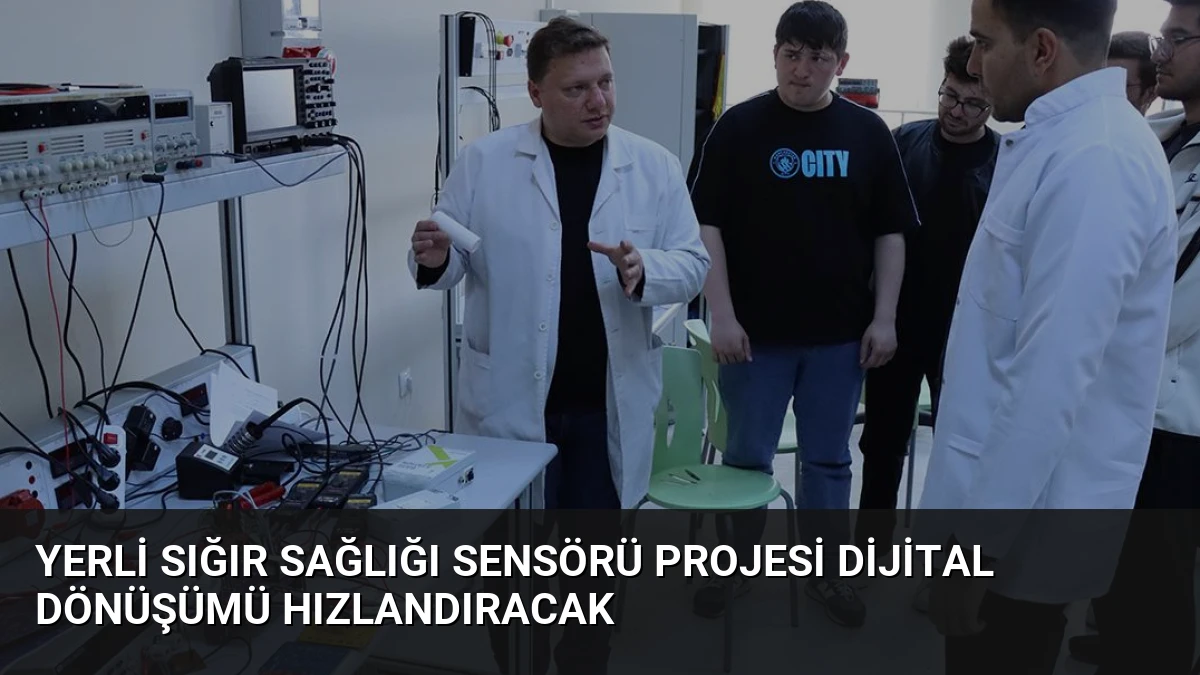 Yerli Sığır Sağlığı Sensörü Projesi Dijital Dönüşümü Hızlandıracak