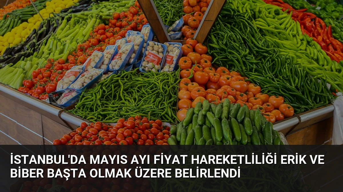 İstanbul’da Mayıs Ayı Fiyat Hareketliliği Erik ve Biber Başta Olmak Üzere Belirlendi