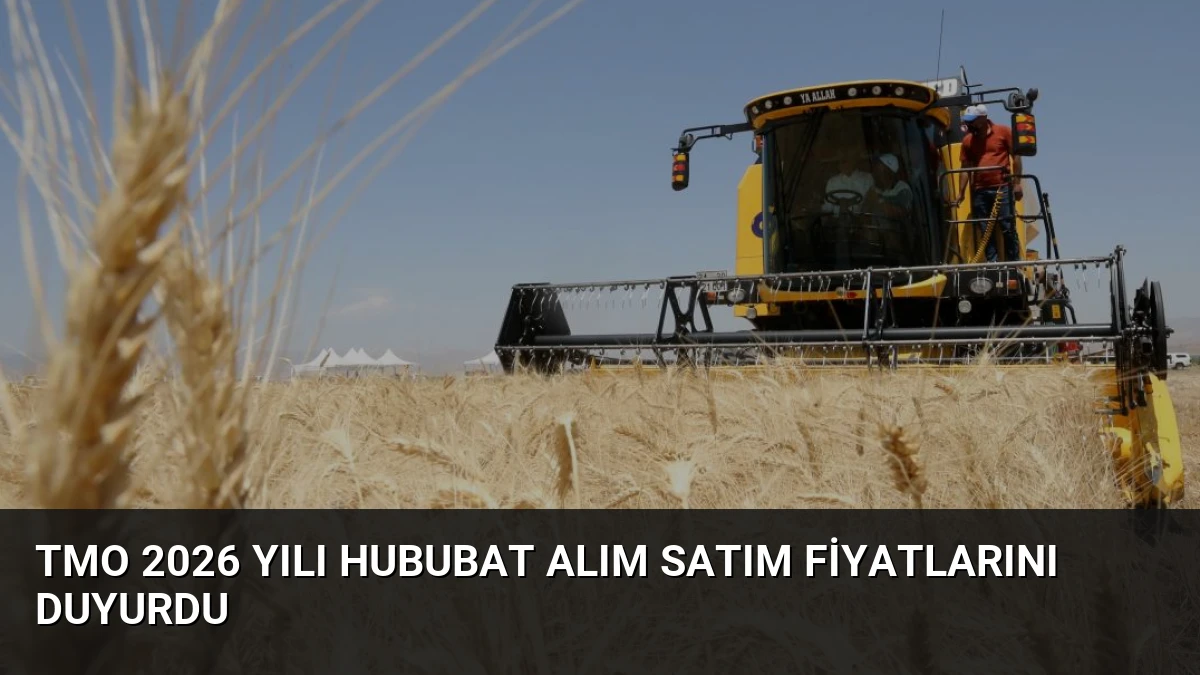 TMO 2026 Yılı Hububat Alım Satım Fiyatlarını Duyurdu