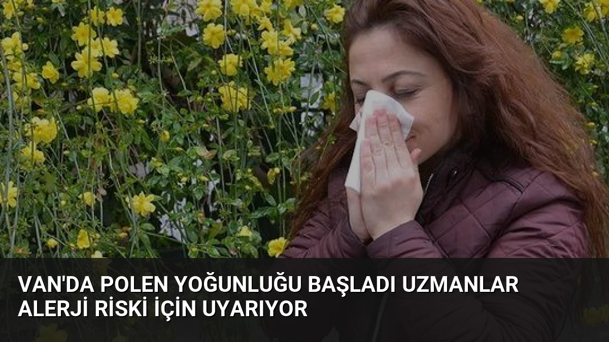 Van’da Polen Yoğunluğu Başladı Uzmanlar Alerji Riski İçin Uyarıyor