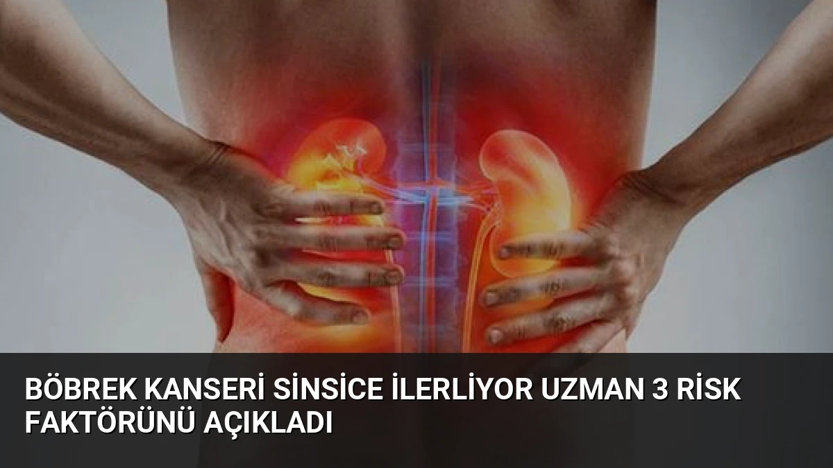 Böbrek Kanseri Sinsice İlerliyor Uzman 3 Risk Faktörünü Açıkladı