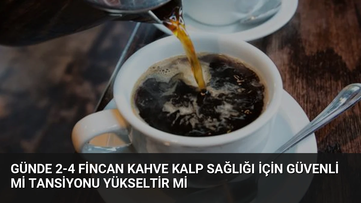 Günde 2-4 Fincan Kahve Kalp Sağlığı İçin Güvenli Mi Tansiyonu Yükseltir Mi