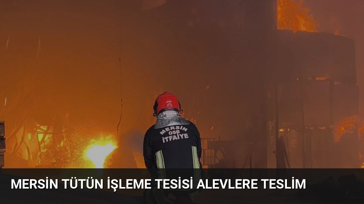 Mersin Tütün İşleme Tesisi Alevlere Teslim